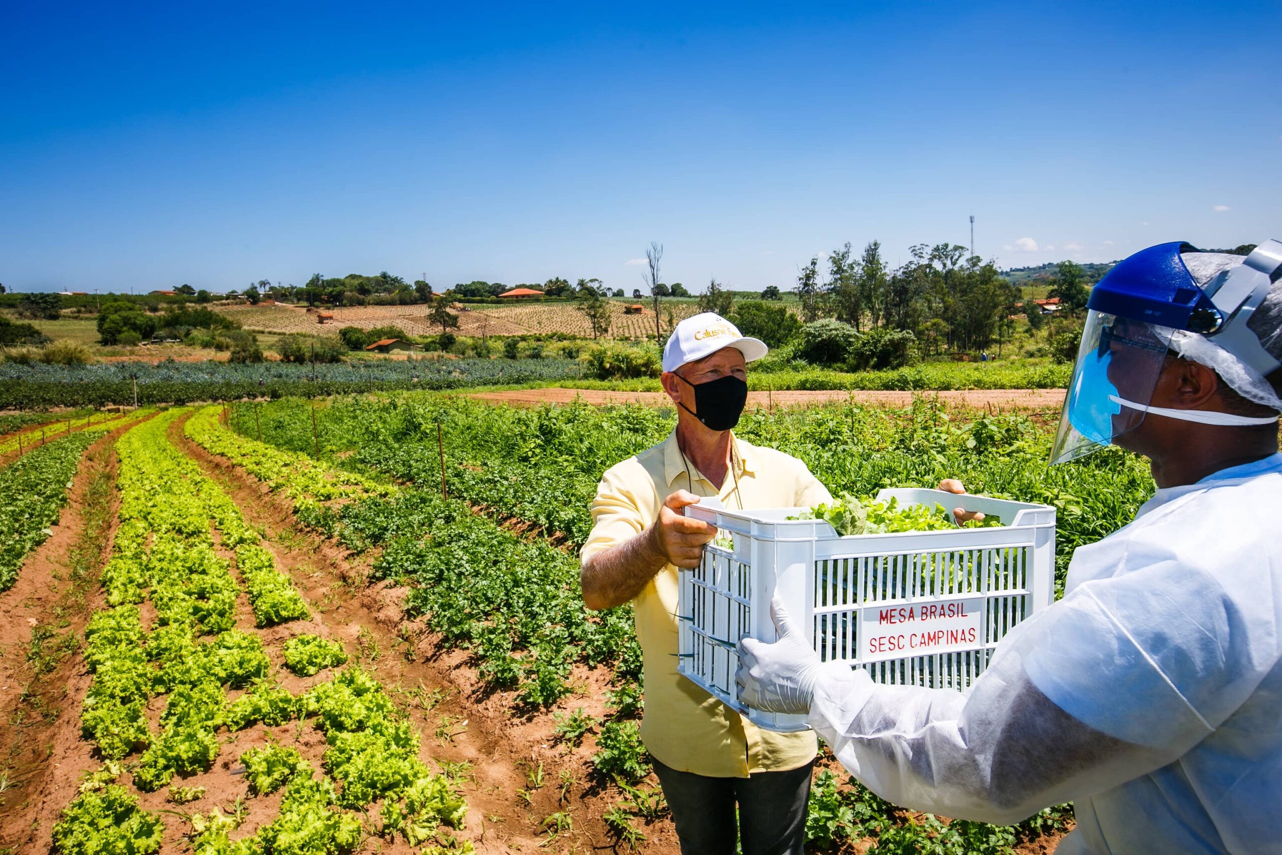 A food bank staff member helps a farm owner carry a crate of donated produce.