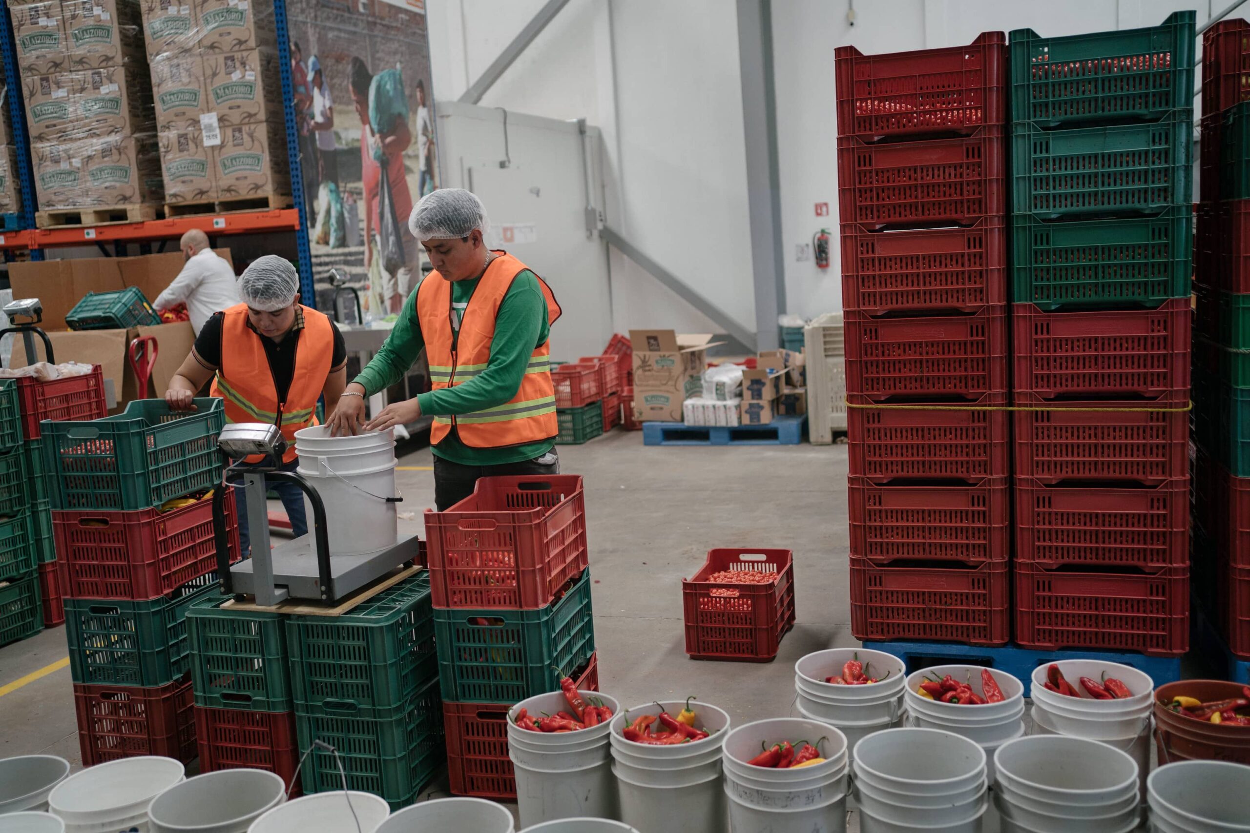 Volunteers at Bancos de Alimentos de México (BAMX) Zapotlanejo, organize fresh produce in the warehouse.