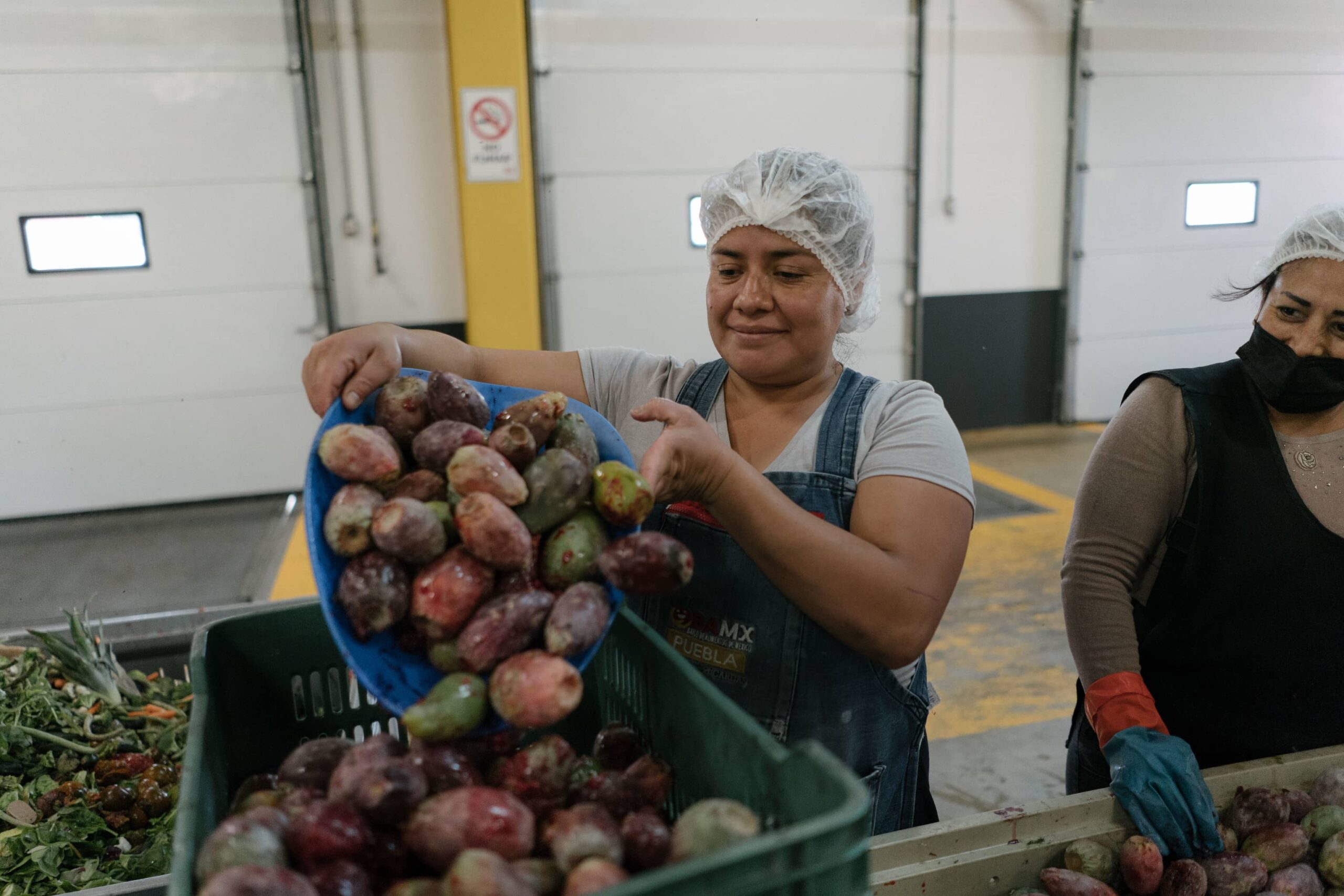 Volunteers at Bancos de Alimentos de México (BAMX) Puebla, fill baskets with prickly pear cacti in the warehouse.